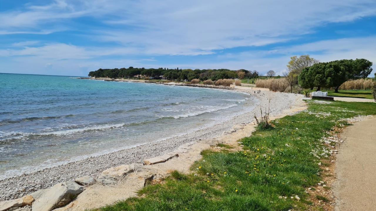 Apartments Kivi Novigrad Istria Exterior foto